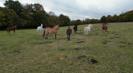 Un jour, un doc : Les animaux au cœur des guerres entre voisins