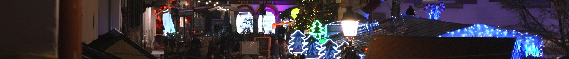 Camelots : ils font le show pour Noël