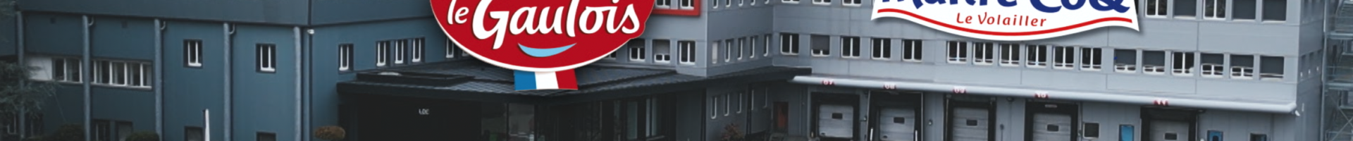 Les petits secrets du roi du poulet