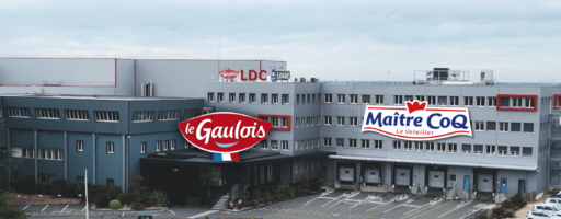 Les petits secrets du roi du poulet