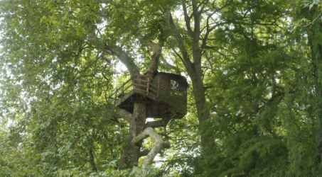 Des logements pas comme les autres