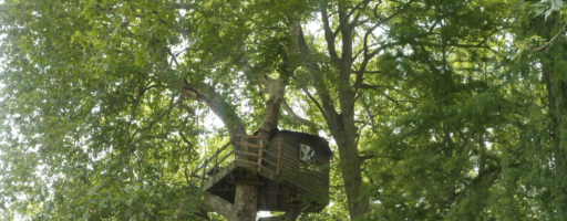 Des logements pas comme les autres